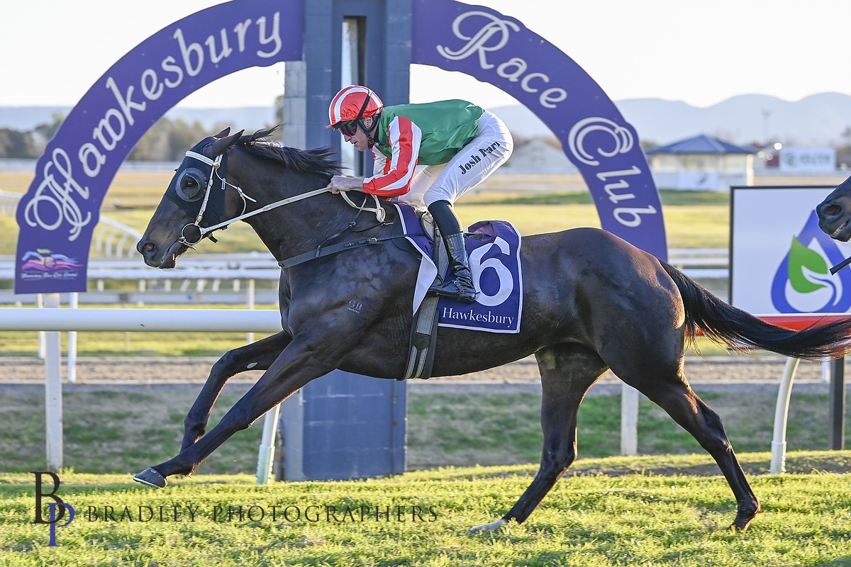 hawkesburyrc's tweet image. 🍻 Race 7 – CLARENDON TAVERN BM 64 HCP 1500m
HEAVEN BOUND stormed home to deliver a dream finish for local trainer @blakeryan86 ! ☁️🏇
A classy ride from @JoshuaParr8 sealed the deal in the last at Hawkesbury
📸 @bradley_photos