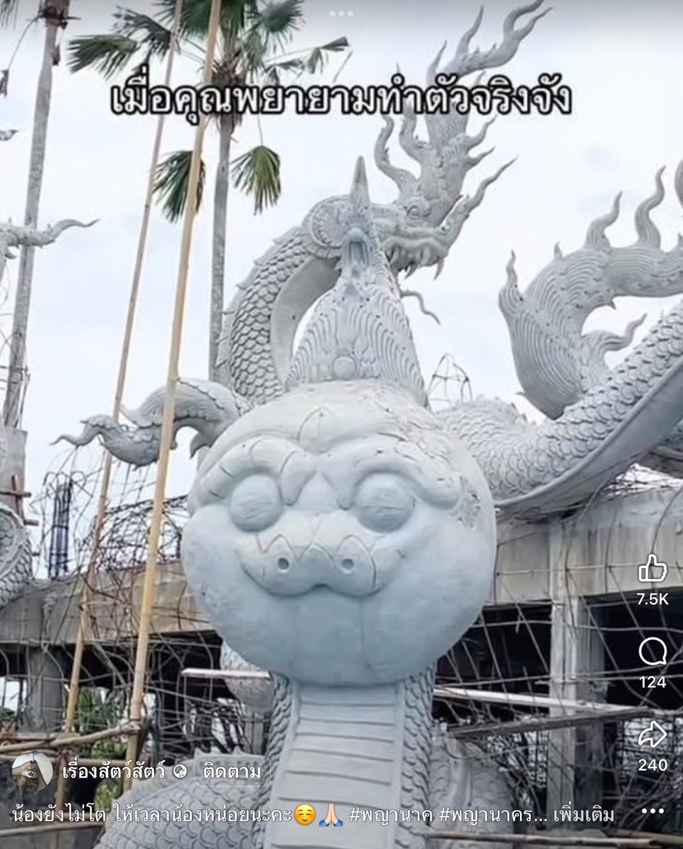 น้อนกำลังฝึกงานนน