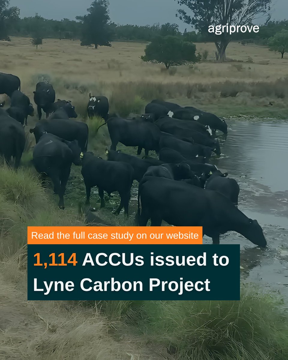 New carbon success in Queensland 🌱

The Lyne Carbon Project in Inglewood, QLD, has reached a major milestone — with 1,114 ACCUs issued under the ACCU Scheme through regenerative grazing practices across 800+ hectares.

Read more: hubs.ly/Q03thDl70