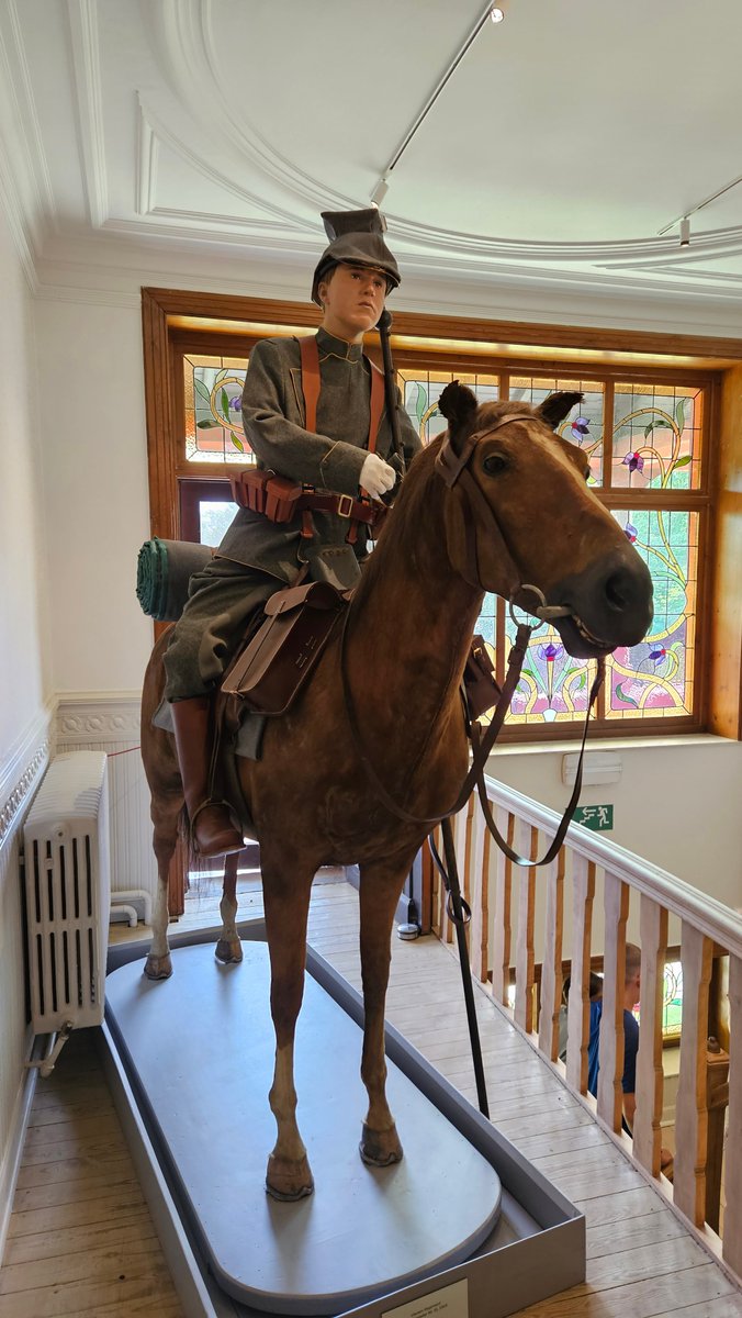 MMP1917's tweet image. 👀 At the top of the stairs, visitors are met by Werner — a striking stallion once trained by the Belgian Gendarmerie. After years of wandering, he now stands proudly in our museum, named after WWI pilot Werner Voss. Come meet him!