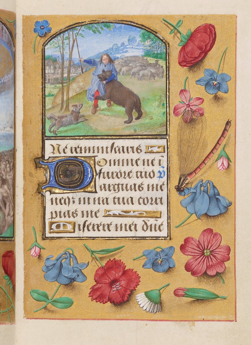Bodleian Libraries (@bodleianlibs) on Twitter photo Found this bear loose in our archives...<a href="/WildwoodDevon/">Wildwood Devon</a> one of yours? 😉
'Two bears who sparked the evacuation of a wildlife park involving trained firearms staff and police had headed straight for the honey store, the park has said' bbc.co.uk/news/articles/….
#BearHunt Found this bear loose in our archives...<a href="/WildwoodDevon/">Wildwood Devon</a> one of yours? 😉
'Two bears who sparked the evacuation of a wildlife park involving trained firearms staff and police had headed straight for the honey store, the park has said' bbc.co.uk/news/articles/….
#BearHunt