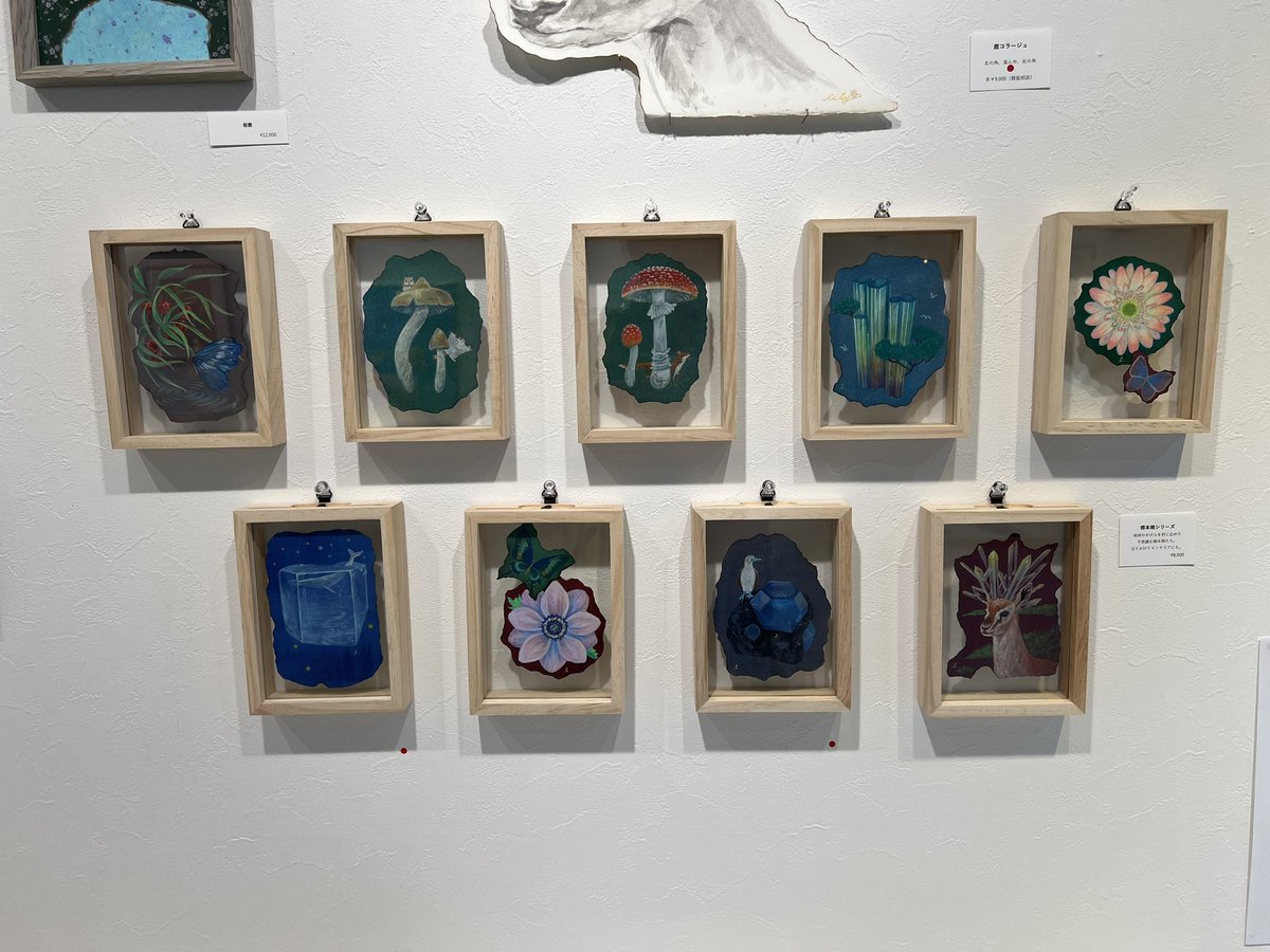 aoki818's tweet photo. リベストギャラリー優でタケイチユリさんの個展。淡くありつつ力強い命の世界。標本箱のようなシリーズがとてもよいなー。7/6まで！ https://t.co/YurOdhLVWB