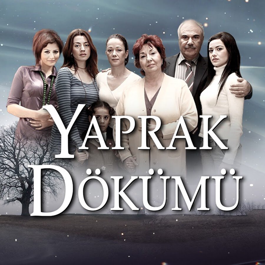 Yaprak Dökümü’nün 10.38’de ekrana gelen tekrarı: 

Total: 0.97
AB: 0.85
ABC1: 0.98
