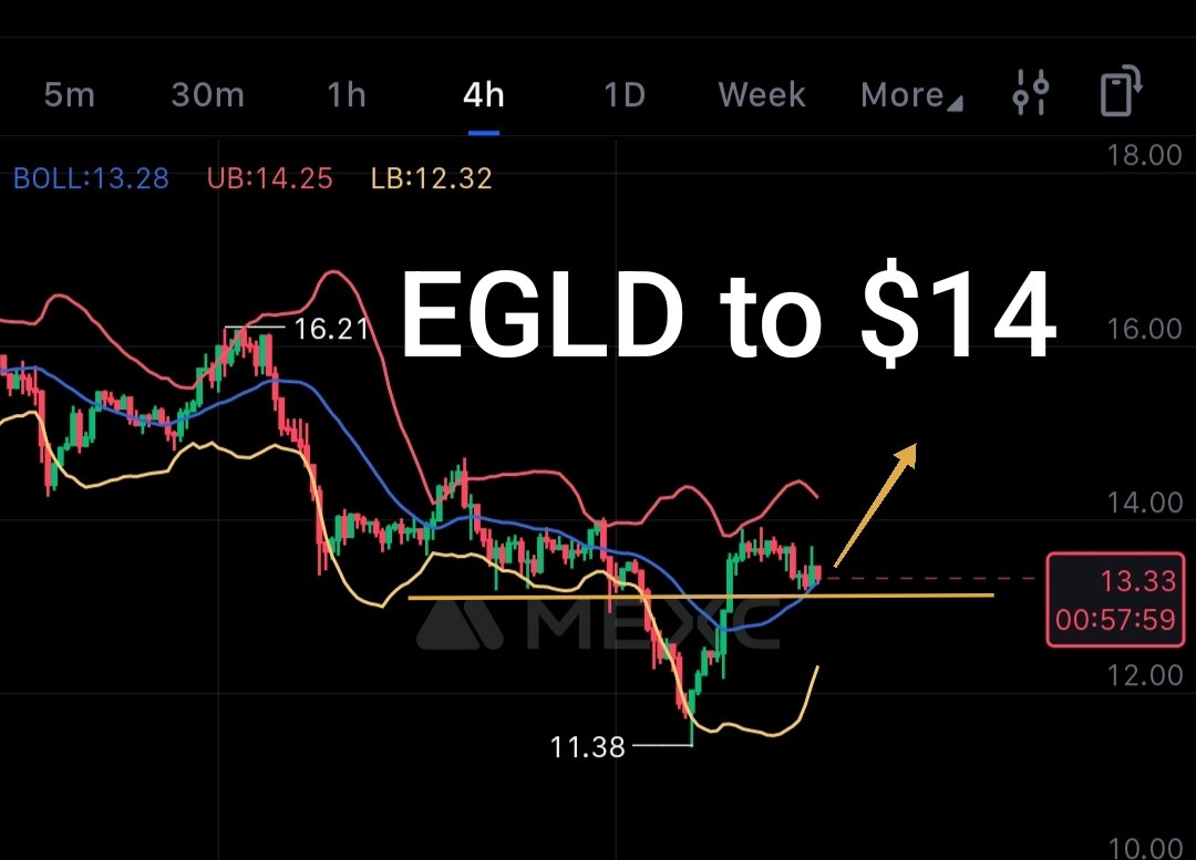 Cryptic Owl tweet media