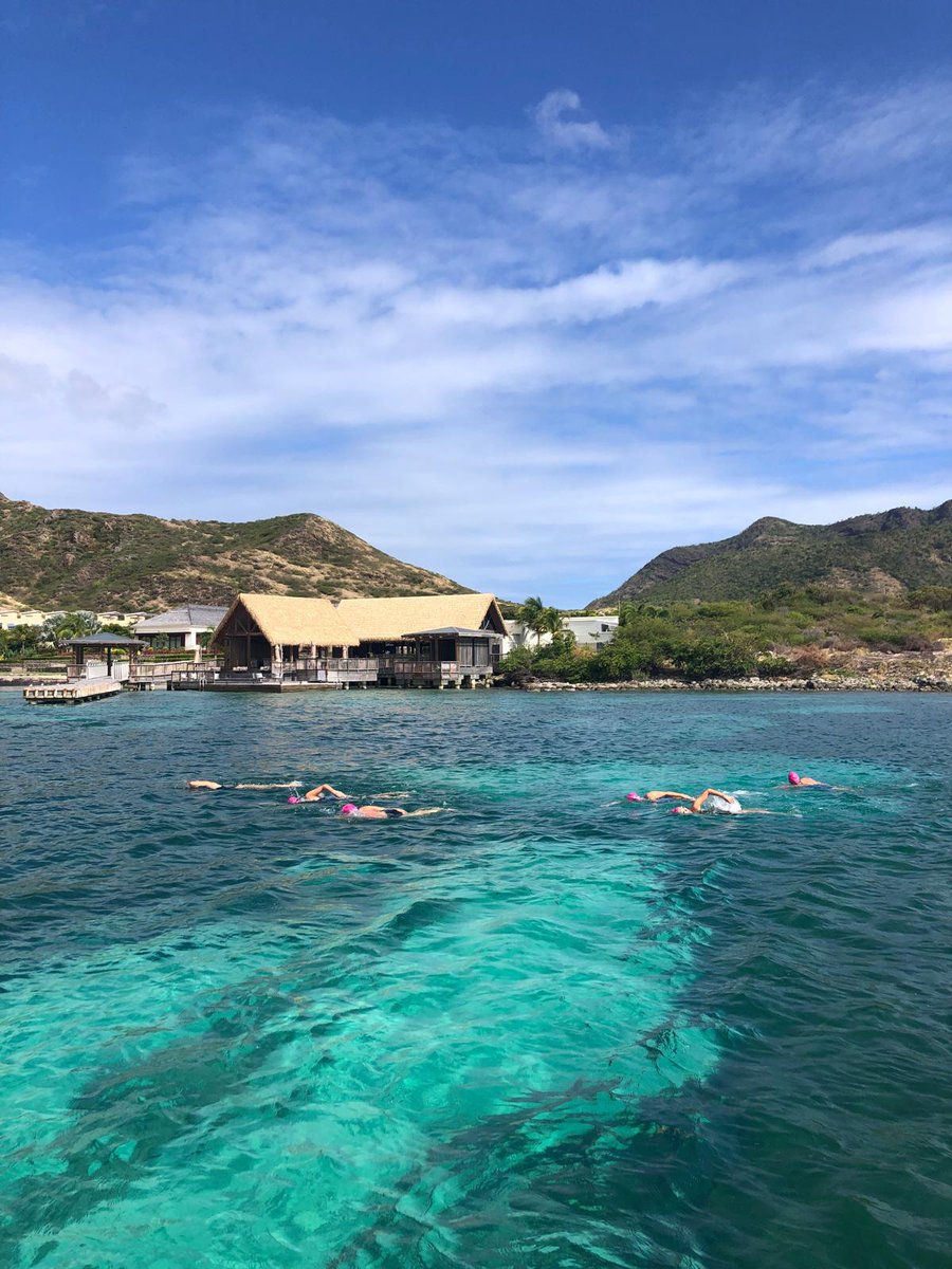 St Kitts &amp; Nevis 🍹🐠🏊‍♀️ Book for 2025/6 and swim the clearest Caribbean waters! 👉 swimtrek.com/packages/swimm…