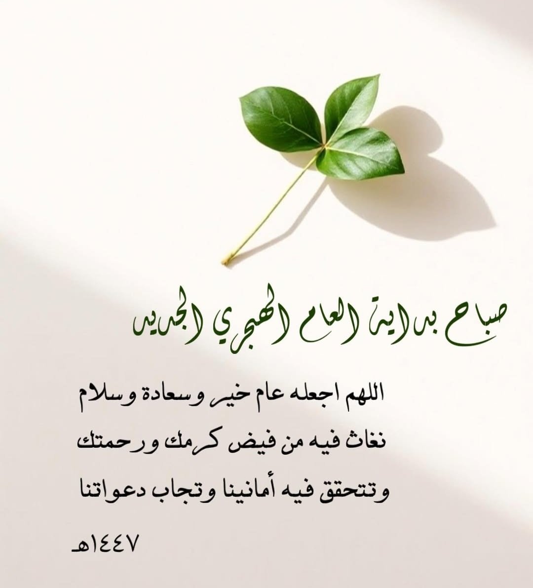 alshafee58's tweet photo. جعلكم الله بخير دآئما وكل عام والبلاد والعباد بخير . https://t.co/EC1ZAsaFjn