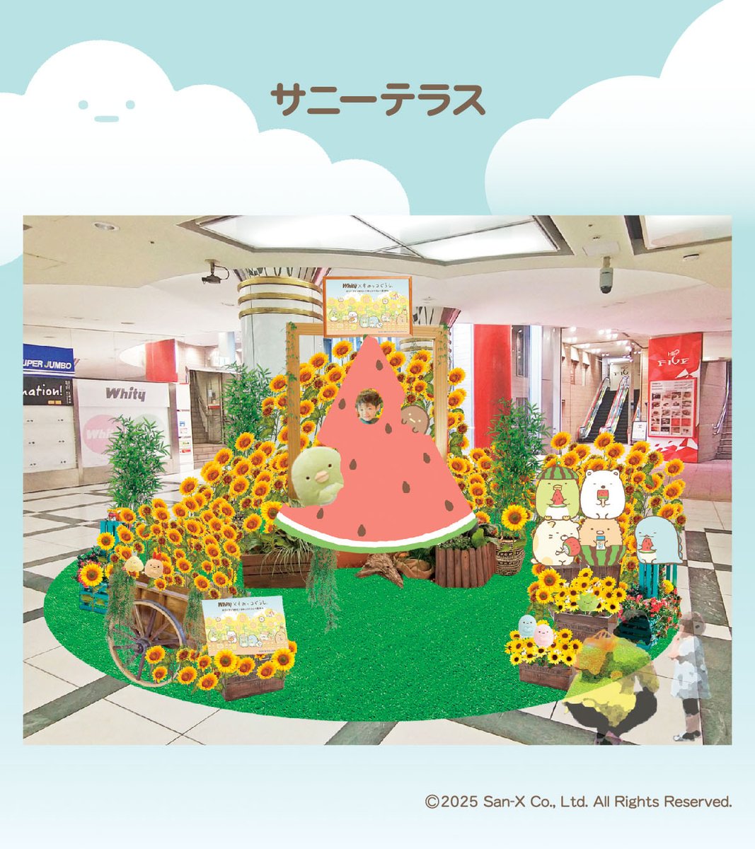 whityumeda's tweet photo. 📆7/18(金)～8/18(月)
ホワイティで
まぁるいきゅうり？み～つけた。

🍉#ホワイティうめだ × #すみっコぐらし🥒
ホワイティうめだとすみっコぐらしの夏休み

7/26(土)はすみっコたちがやってくる～撮影会～ 
ホワイティうめだ公式Xをフォロー＆
この投稿をリポストして撮影会に参加しよう！

今年の夏はホワイティのひまわり畑で
すみっコたちと素敵な思い出をつくろう🍉🥒
詳細はこちら▷https://t.co/SOfEXdkkNB