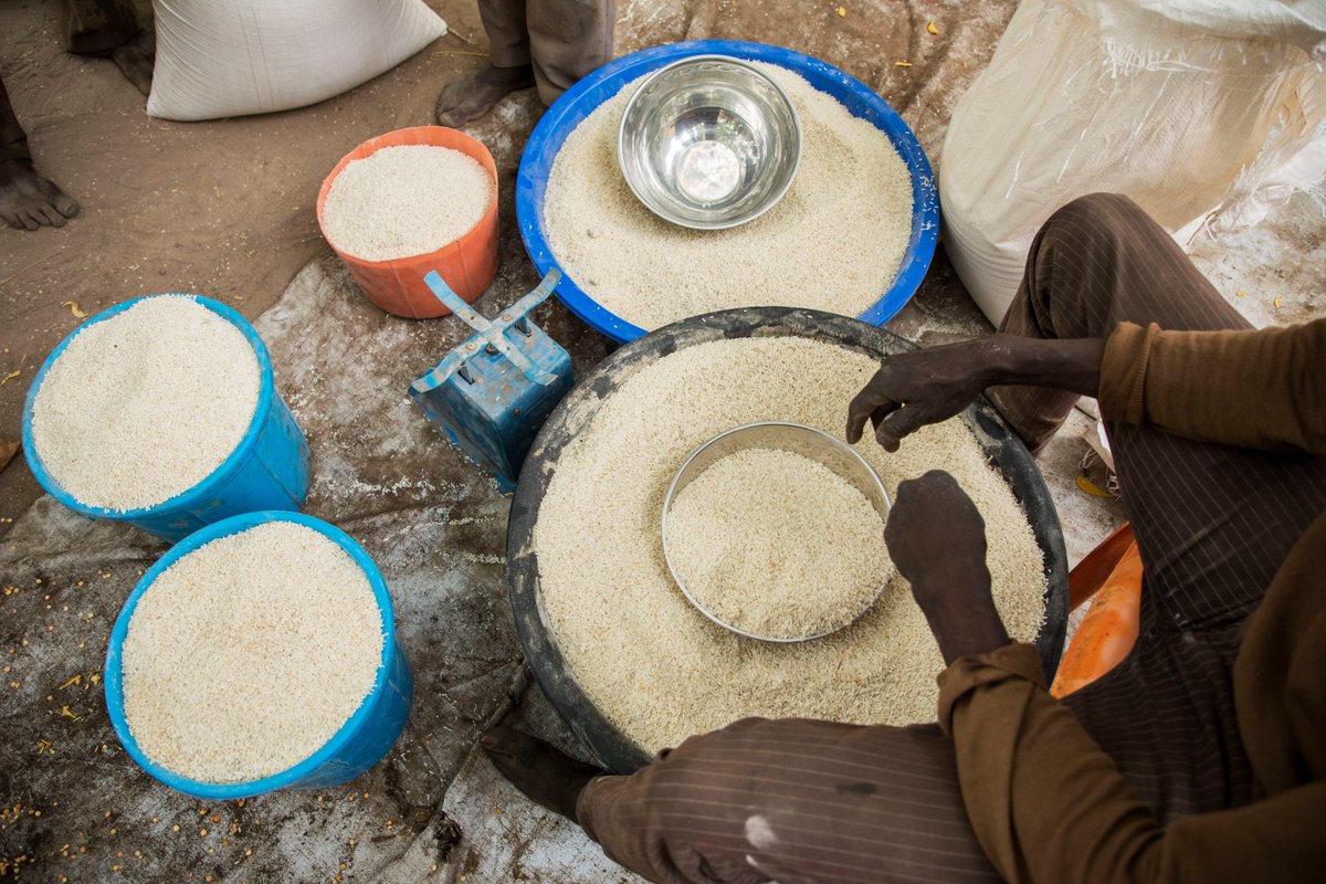 WFP_CAR_CD's tweet image. 🌽 Photos de la semaine : une distribution alimentaire aux réfugiés dans la ville de Birao. Les rations du Programme alimentaire mondial (PAM) dans ce district Centrafricain, représentent l'équivalent d'un mois de nourriture pour une famille de cinq personnes. #savinglives