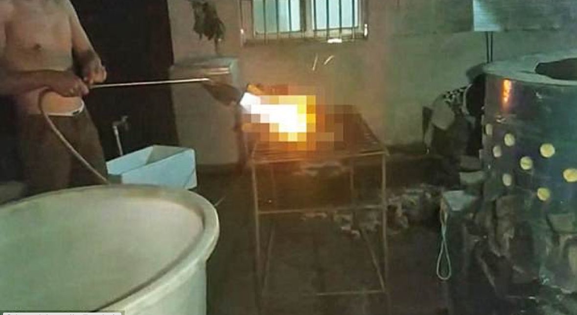 PhaedraXTeddy's tweet photo. That dog WAS cooked this year at Yulin.
The dogs trafficked to #YulinDOGmeatFestival are not likely saved. Although nature stopped the gruesome festival with fire floods and earthquake, would the Chinese dog butchers have taken the dogmeat dogs to safety? 
Although huge/household name organizations raise money for themselves at dogmeat festival time, they really don't rescue many dogs, if any at all. They definitely ignore the issue of #ChineseOnlineCatTorture