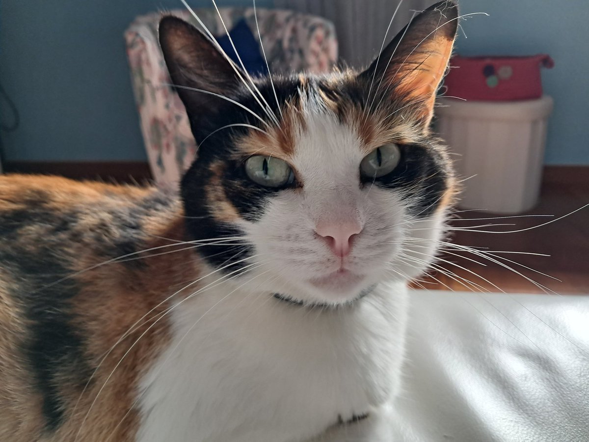 Io invece mi affaccio solo ogni tanto...