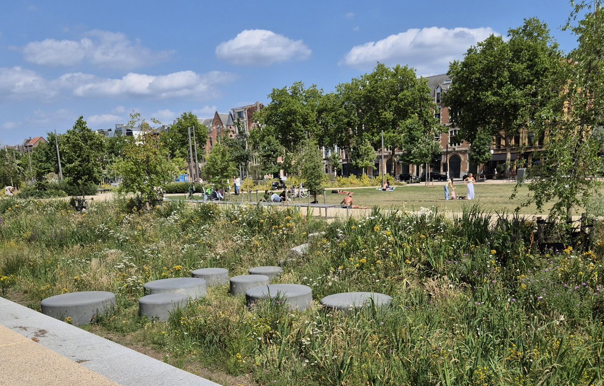 NandaSluijsmans's tweet image. Hele grote mooie wadi's gespot in #Antwerpen!😃🥰
#klimaatadaptatie 💧#regenopvang