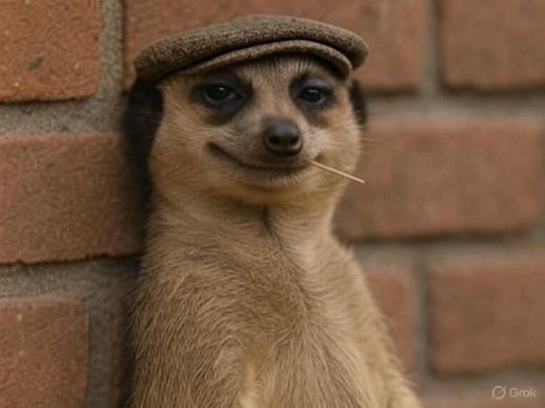 DamaleEmmanuel's tweet image. Azza watching you trade with scammers over and again 

@useazza 
#useazza 
#useazzacontest