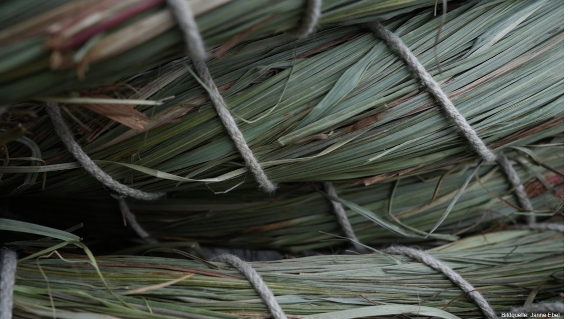 🪵 Käferholz und Moorlandschaften als Inspirationsquelle

Ab Ende Juni und Mitte Juli laden zwei temporäre Ausstellungen in Berlin dazu ein, sich mit von Käfern befallenem Holz sowie Mooren, Sümpfen und Feuchtwiesen zu beschäftigen.

ℹ️Mehr Infos hier:
biooekonomie.de/nachrichten/ne…