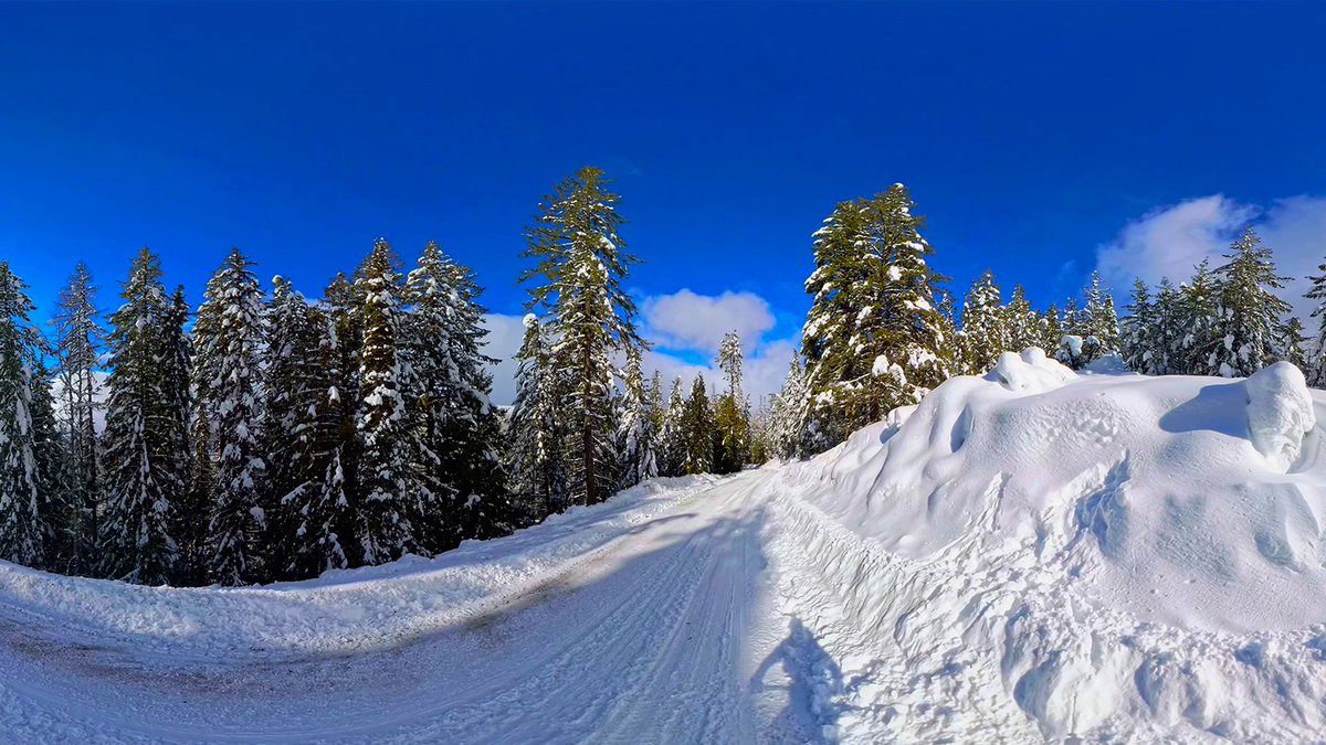 Kinomap VR tweet media