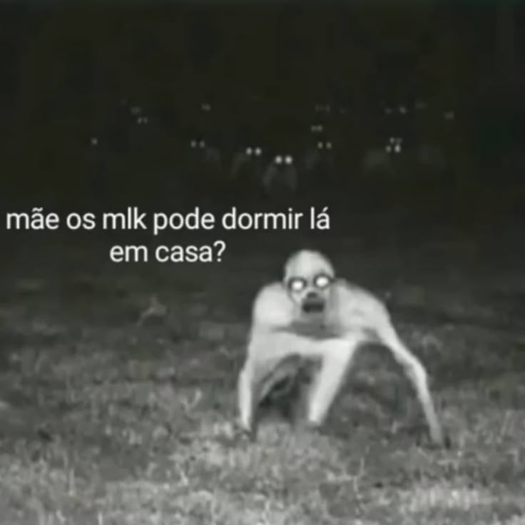 Terror do Cotidiano tweet media