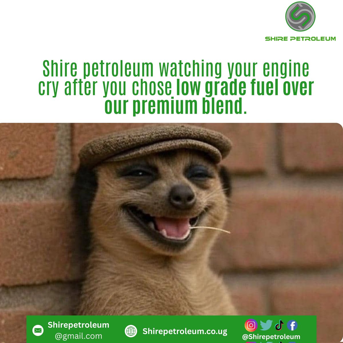 Couldn't resist refueling the trend 😆⛽️
#ShirePetroleum