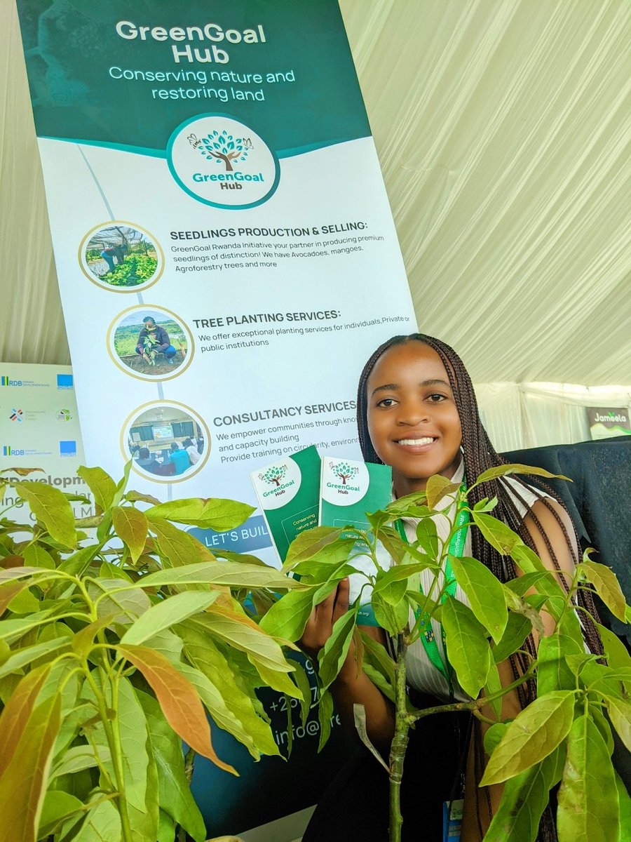 GreengoalR's tweet image. ⏰Time is running out! Only 2 days left until #RwandaAgriShow2025 come to an end!!
🤷Why wait? If you haven't visited #GreenGoalHub yet, now is the time!
Make your way to Mulindi Ground Show and get your premium seedlings (Avocado, Mango, Orange,... And different native trees)