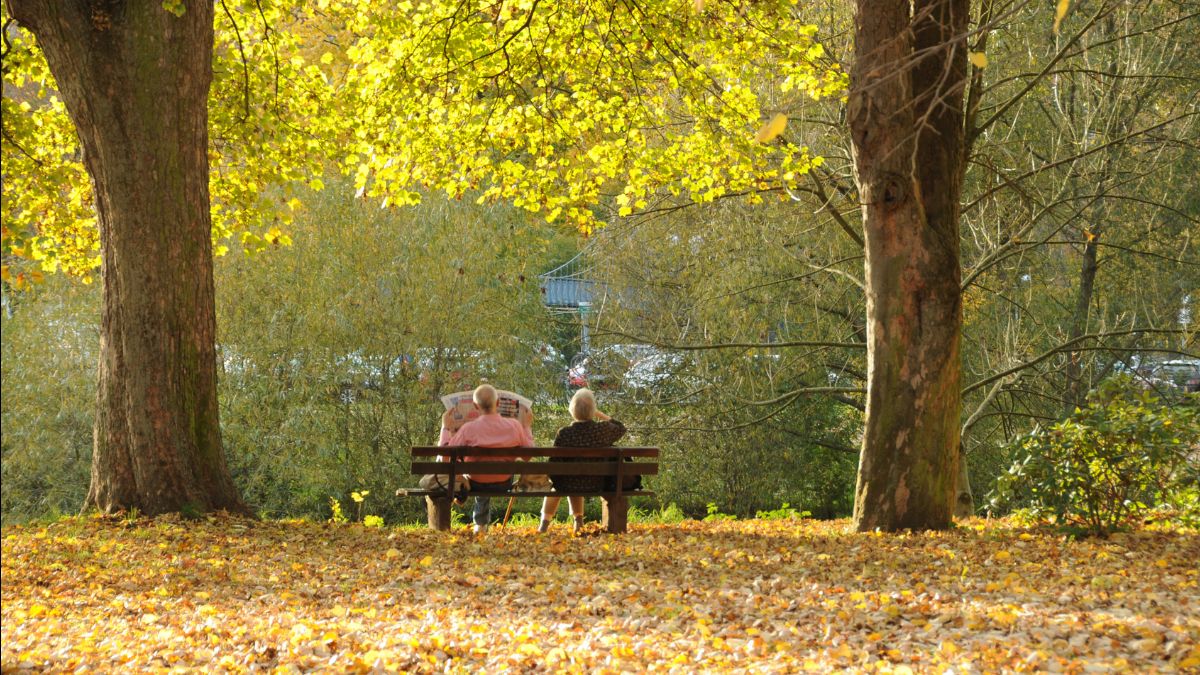 RememberCharity's tweet image. Advisers predict rise in legacy consideration - mailchi.mp/rememberachari…