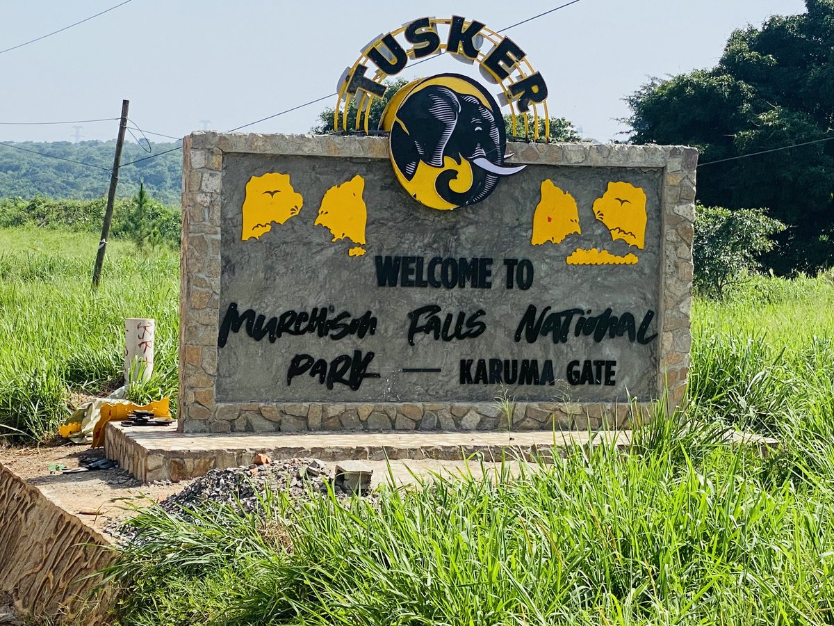 EscapeSafaris_'s tweet image. Good morning fam
We are ready for the weekend
#EscapeExperiences