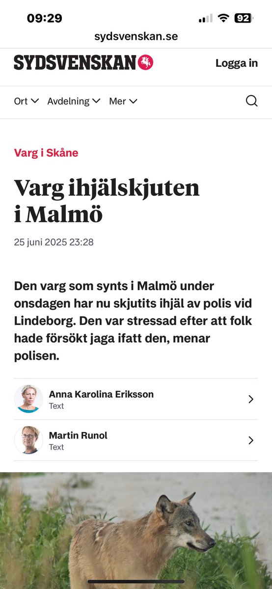 Medelsvensson tweet media