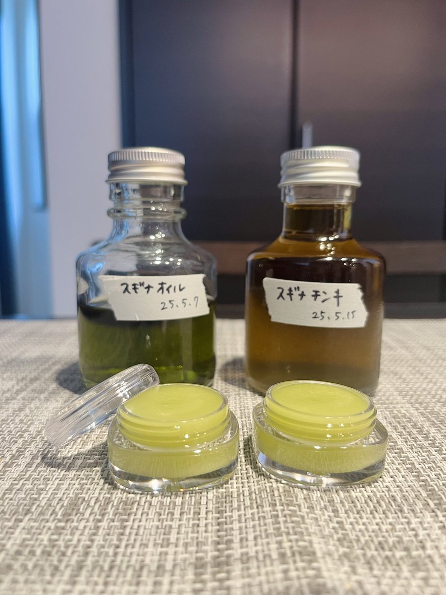 スギナオイルとチンキが完成したのでさっそく🌿

オイルはブレンド
スギナオイル　　15g
アルガンオイル　5g
アボカドオイル　5g
樟脳オイル　　　5g

スッと伸びてベトつかなくていい💅

やだどうしよう！爪までキレイになっちゃうわ🥰😂