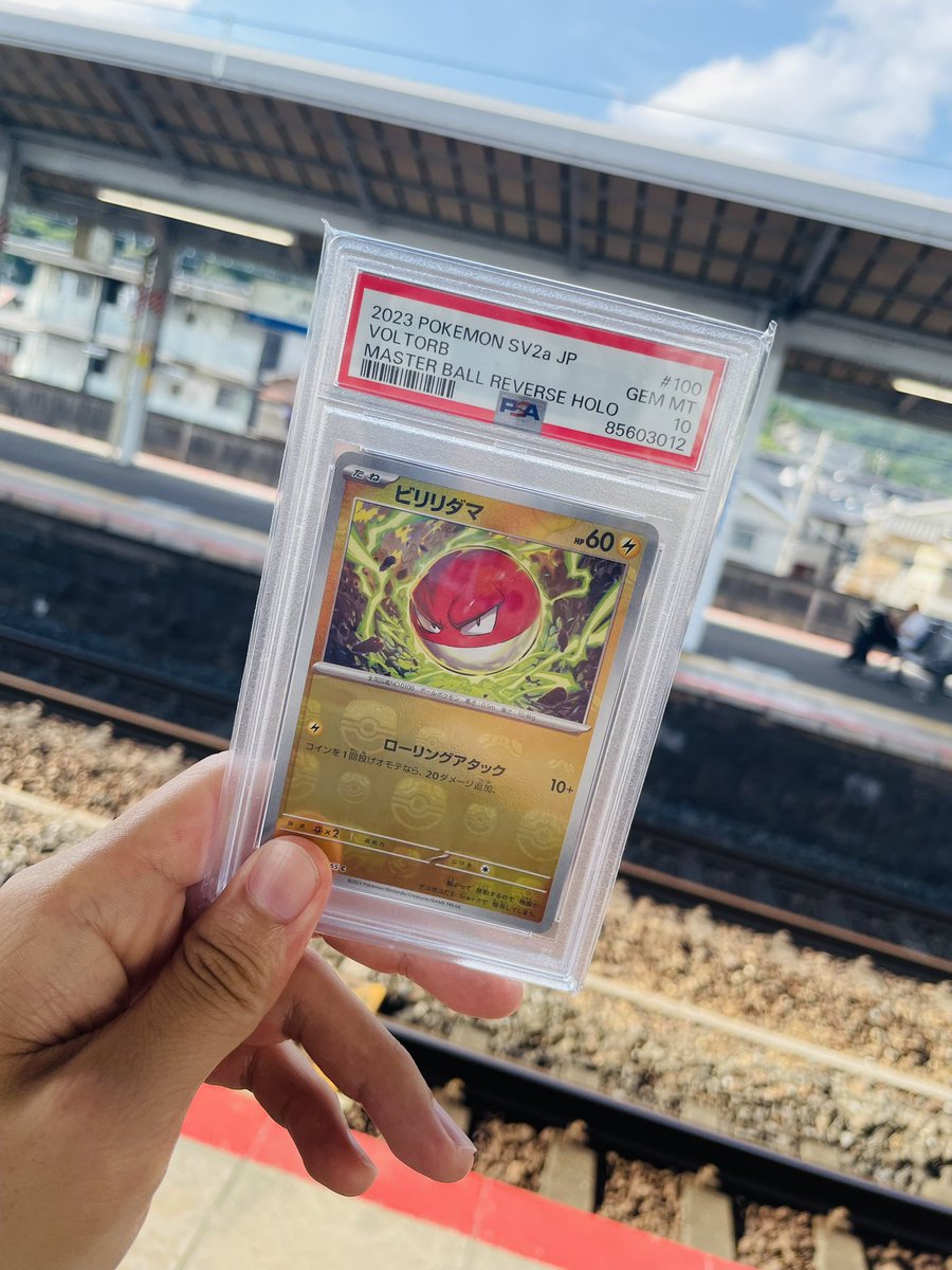 コゾシ (@zokoshi_pkc) on Twitter photo 本日のビクティニ争奪戦は
じゃんけん含めボコ負けしましたが、
トレカショップVOWさんに初めて行け、
良い思い出になりました🙆♂️
ホドホドさん、KBTでの対面覚えて
くださっていてありがとうございました!
写真はオリパで当てたマスボビリリダマ🥚 本日のビクティニ争奪戦は
じゃんけん含めボコ負けしましたが、
トレカショップVOWさんに初めて行け、
良い思い出になりました🙆♂️
ホドホドさん、KBTでの対面覚えて
くださっていてありがとうございました!
写真はオリパで当てたマスボビリリダマ🥚