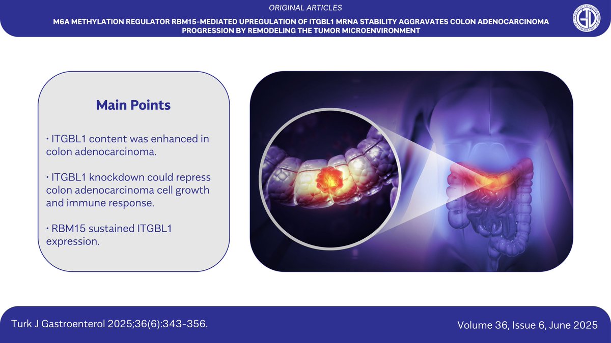📢 Featured in our June issue!

This study explores how RBM15 regulates ITGBL1 mRNA stability through m6A methylation, accelerating colon adenocarcinoma progression by remodeling the tumor microenvironment. The findings highlight RBM15 as a potential therapeutic target in