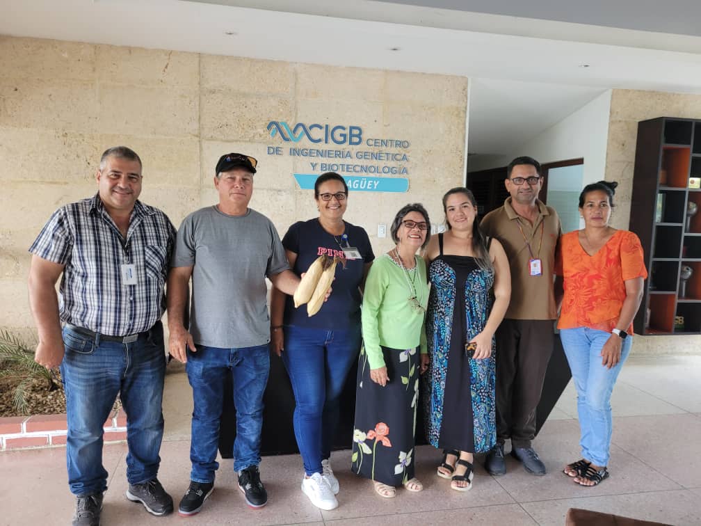 citmacamaguey's tweet image. En #Camagüey se alcanzan resultados científicos - tecnológicos  del maíz 🌽 transgénico en la alimentación animal. #CIGB #OGM #ORSA #CITMACamagüey
@citmacuba
@EdMartDiaz
@ArmandoRguezB
@Ruberdanis23361