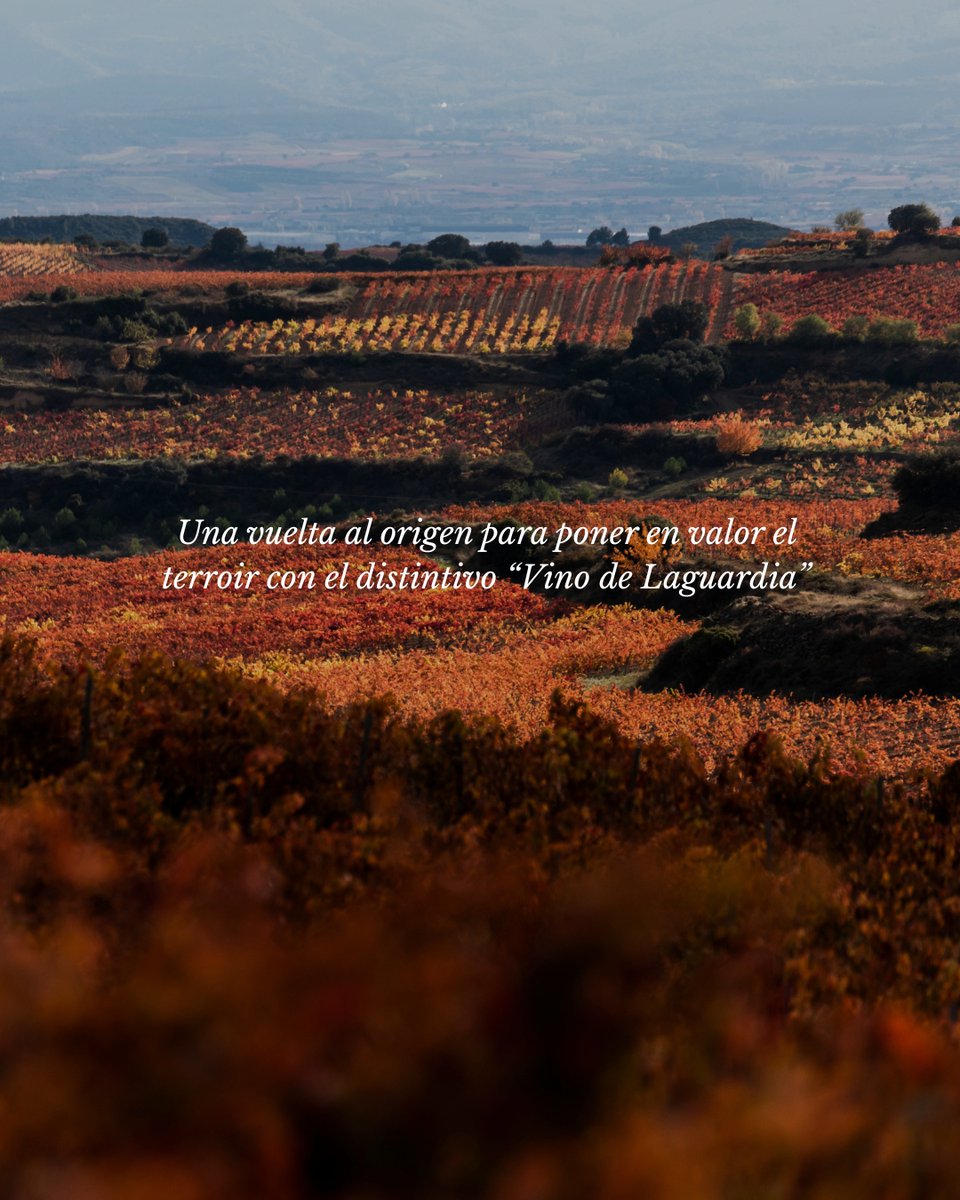 🍇 Bodegas Cosme Palacio, en el corazón de Rioja Alavesa, fusiona tradición e innovación desde 1894.
Un referente en vinos de prestigio, con alma vanguardista y conexión con el terroir.
#VíveteunRioja #BodegasRioja #CosmePalacio