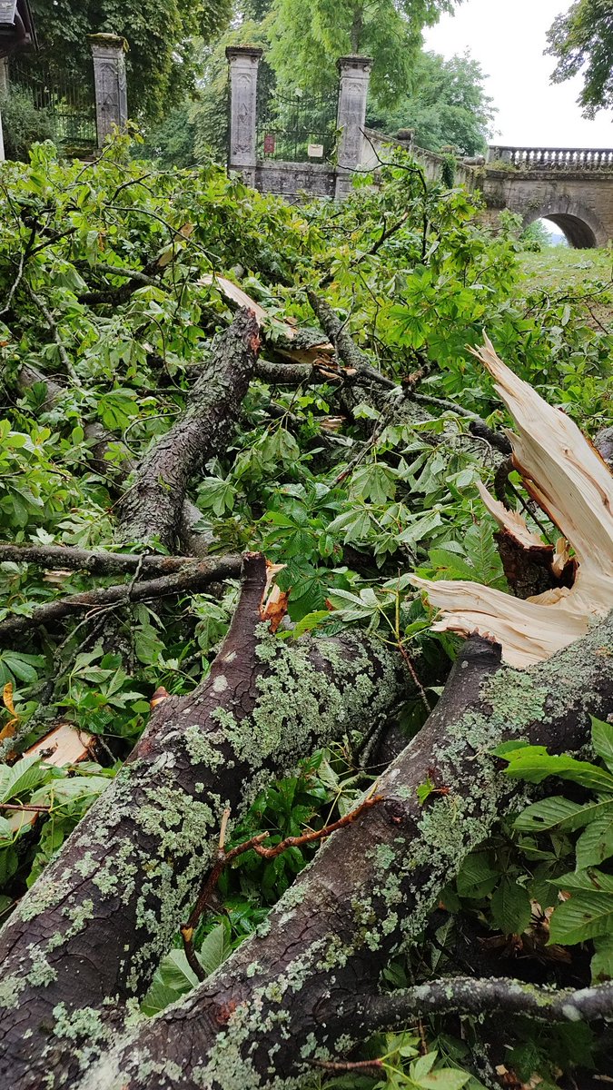 Storm...
#storm #orages #France