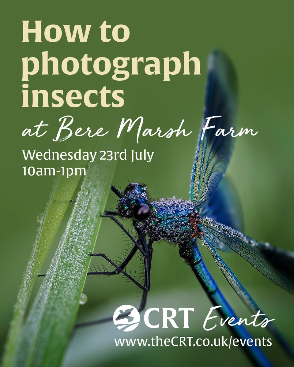 CRTWildlife's tweet photo. This year’s theme for #NationalInsectWeek @royentsoc is focused on #insectdecline. To celebrate the role of insects, we’re holding a How to photograph insects course at Bere Marsh Farm, Dorset, on July 23 10am to 1pm with expert Marilyn Peddle. To book: https://t.co/ePVlTeSYMW https://t.co/ibyLZqxxiN