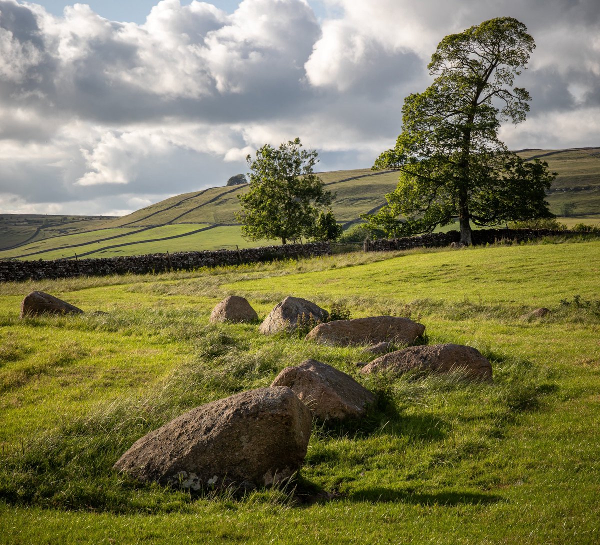 I’m assembling a team… 🤔 
The ‘prehistoric standing stones silhouetted against cool trees’ gang.
#Archaeology #History #megalith