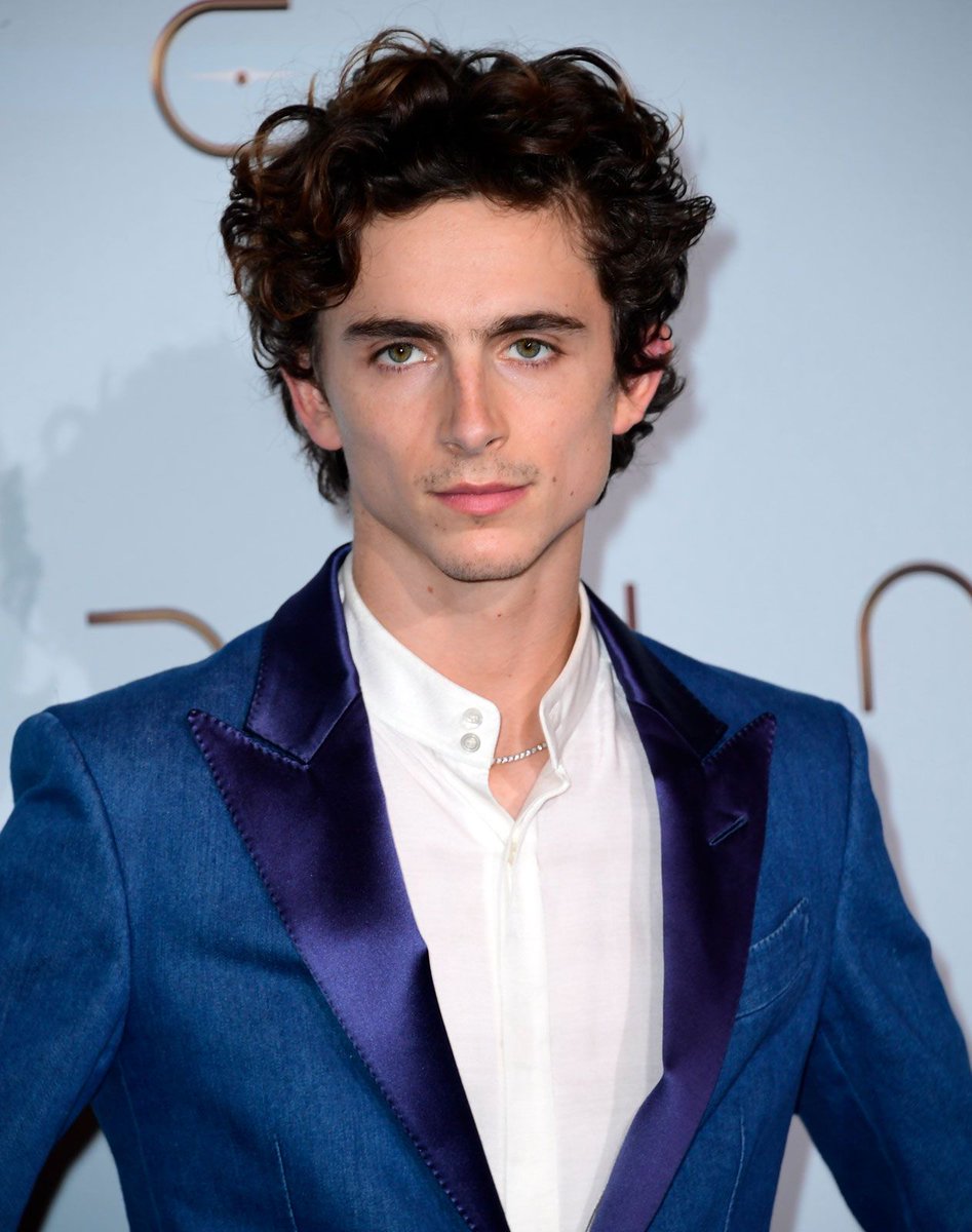 MyTimeToShineH's tweet photo. Would you like to see Timothée Chalamet as the next James Bond? https://t.co/eWIAYREym1