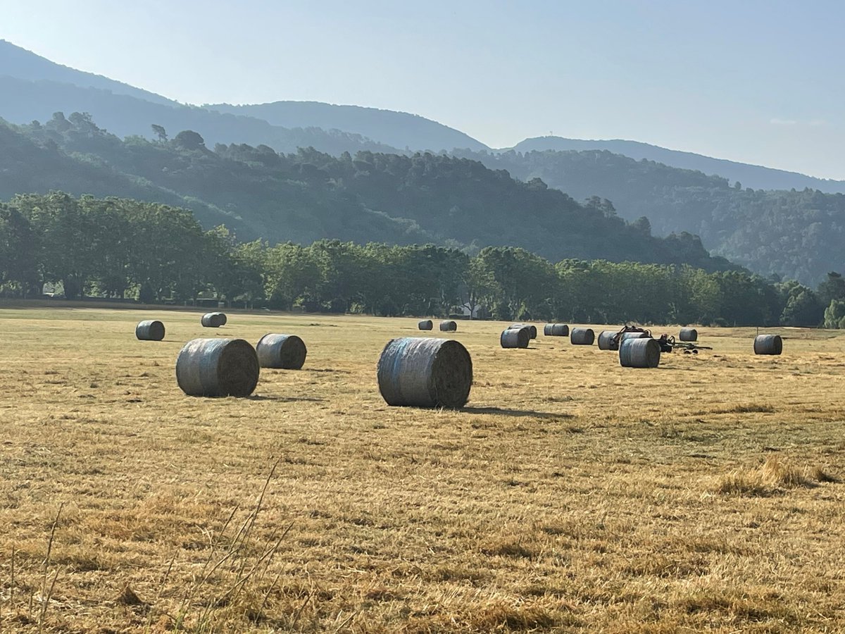 Levens Tourisme (@levenstourisme) on Twitter photo 🌾 Scène d’été au Grand Pré 🌾
les round baller ponctuent le paysage comme des sculptures naturelles. Ces balles d'herbes, emblématiques ajoutent une touche de charme rural.
📸 <a href="/LevensTourisme/">Levens Tourisme</a>
<a href="/ExploreNCA/">Explore Nice Côte d'Azur</a> <a href="/VilleLevens/">Village de Levens</a> #moyenpaysnicois
#grandpré #rurallife #roundballer 🌾 Scène d’été au Grand Pré 🌾
les round baller ponctuent le paysage comme des sculptures naturelles. Ces balles d'herbes, emblématiques ajoutent une touche de charme rural.
📸 <a href="/LevensTourisme/">Levens Tourisme</a>
<a href="/ExploreNCA/">Explore Nice Côte d'Azur</a> <a href="/VilleLevens/">Village de Levens</a> #moyenpaysnicois
#grandpré #rurallife #roundballer