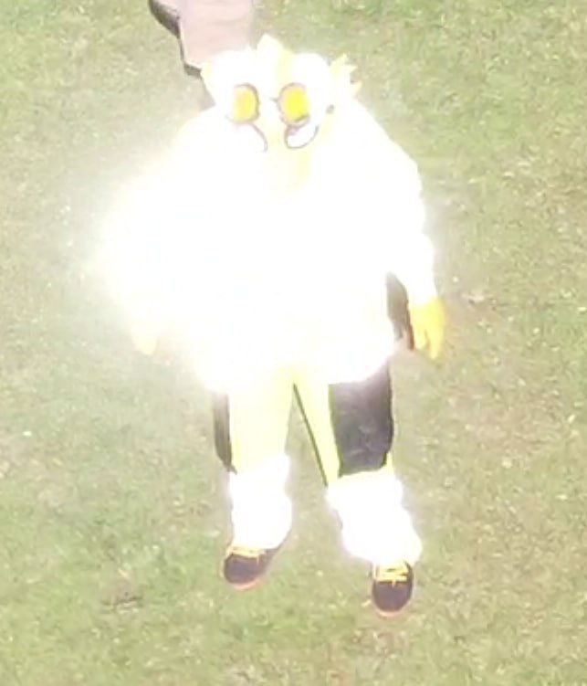 ChancetheDragon's tweet photo. @KuramaSoCalFox Some do indeed shine in the sunlight 😇 https://t.co/5FhfadmEvl