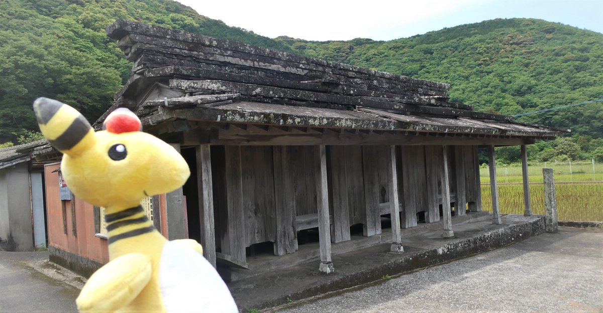 nagasaki_denryu's tweet image. 【デンリュウとお散歩⚡対馬編③】
対馬には歴史的な書物、建造物などの文化財が数多く残っています。
写真は屋根が石で作られた石屋根倉庫です。起源は明らかではないですが、対馬で暮らした人々の生活様式を残す貴重な文化財です!
#デンリュウとお散歩
#対馬市