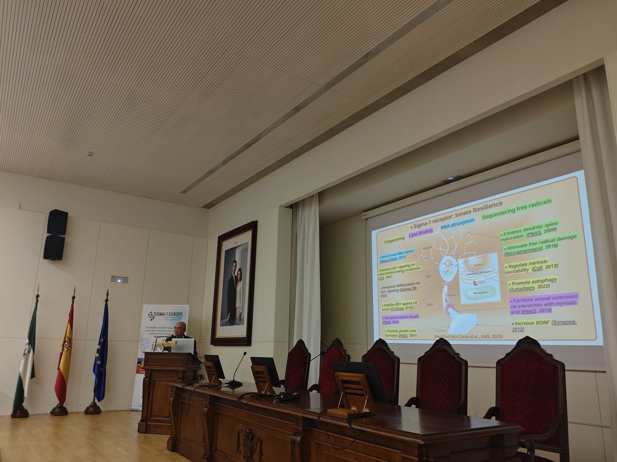 pharmaofpain's tweet photo. Dr. Tsung-Ping Su explains several mechanisms through which the sigma-1 receptor promotes neuronal survival (neuroprotector) 🧠 @Sigma1Europe #SIGMA1EUROPE #COSTaction https://t.co/czuS77zGRC