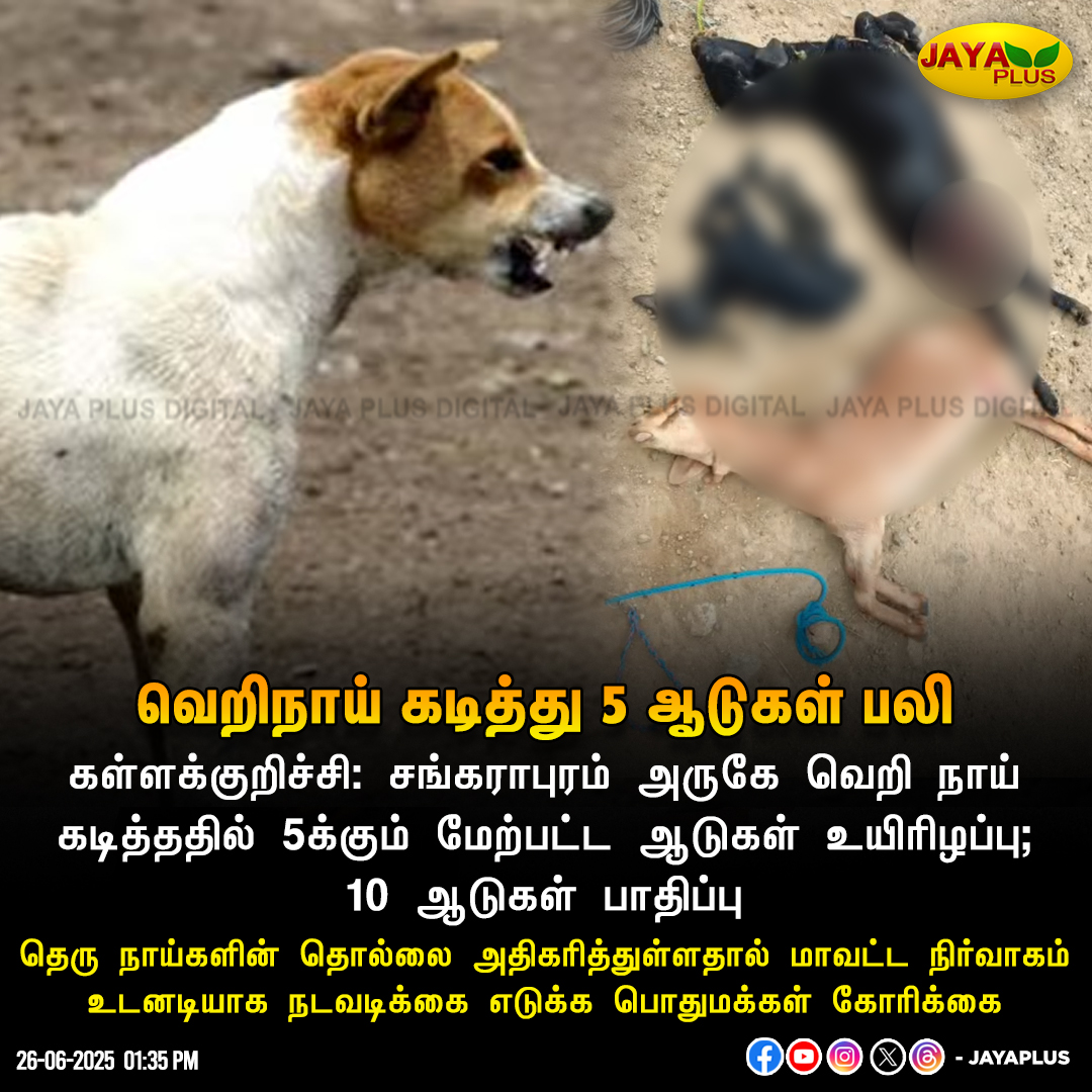 jayapluschannel's tweet photo. வெறிநாய் கடித்து 5 ஆடுகள் பலி!
#Kallakurichi #Goat #RabidDogs #Attack #JayaPlus https://t.co/rzqbB9FGWt