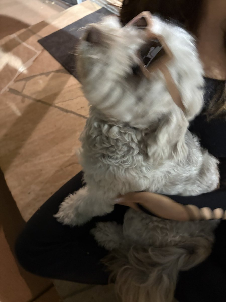 ok (@wegonebeok) on Twitter photo 