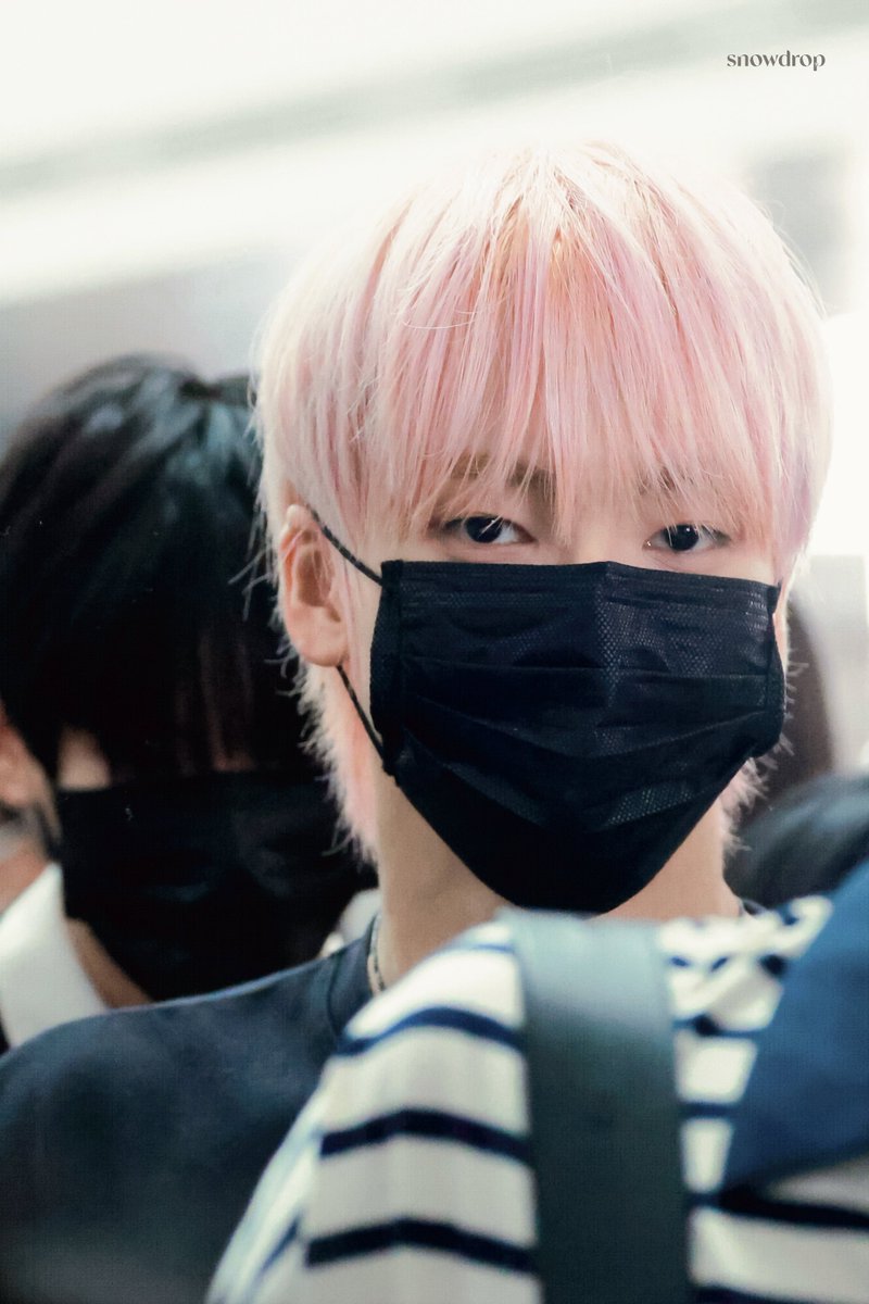 snowdrop💭 tweet media