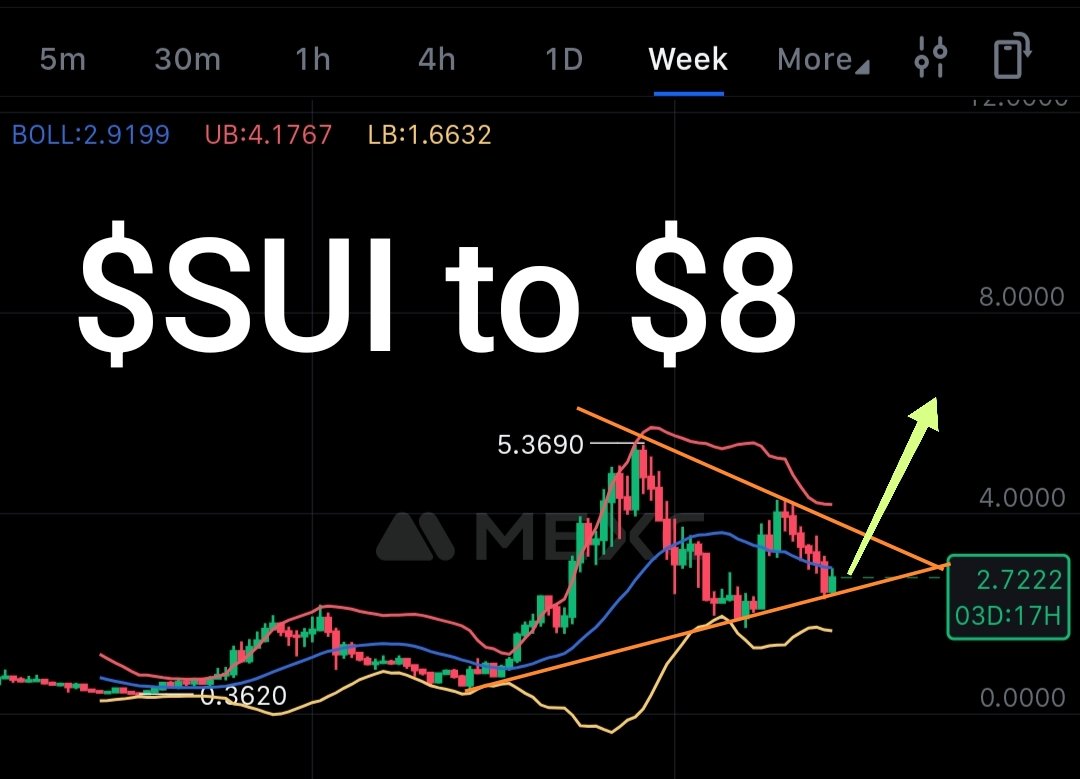 Cryptic Owl tweet media