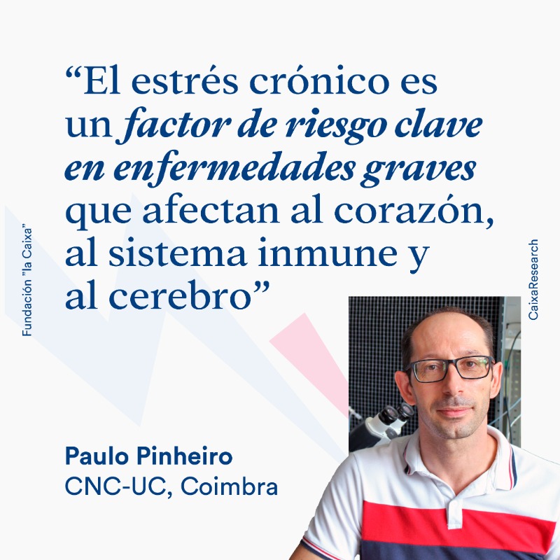CaixaResearch's tweet photo. 🌍¿Qué tienen en común Okinawa, Cerdeña y Nicoya?

Son Blue Zones: lugares donde viven más y mejor. ¿Su secreto? Vivir con poco estrés.

Hablamos con3️⃣investigadores de la red CaixaResearch sobre el impacto del estrés en la salud. ¿Nos acompañas a descubrirlo?