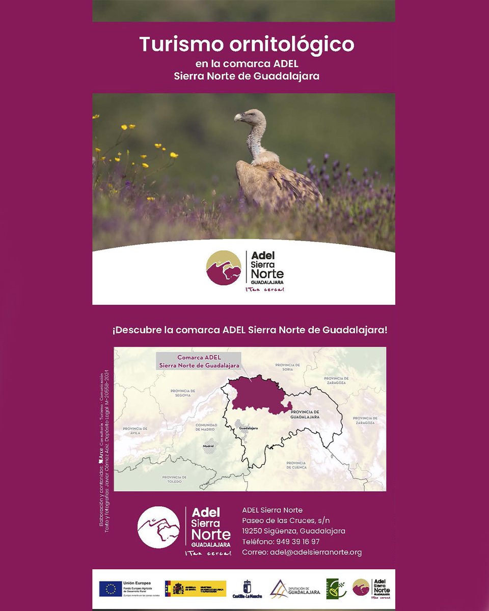 🦉 ¡El Mapa Ornitológico de la Sierra Norte disponible online!

📍 +40 enclaves | +200 especies de aves
🌿 Turismo, biodiversidad y conservación en un clic
🔗 Descárgalo: adelsierranorte.org/turismo/natura…
ℹ️ Más info: adelsierranorte.org
#Birdwatching #SierraNorte #NaturalezaViva