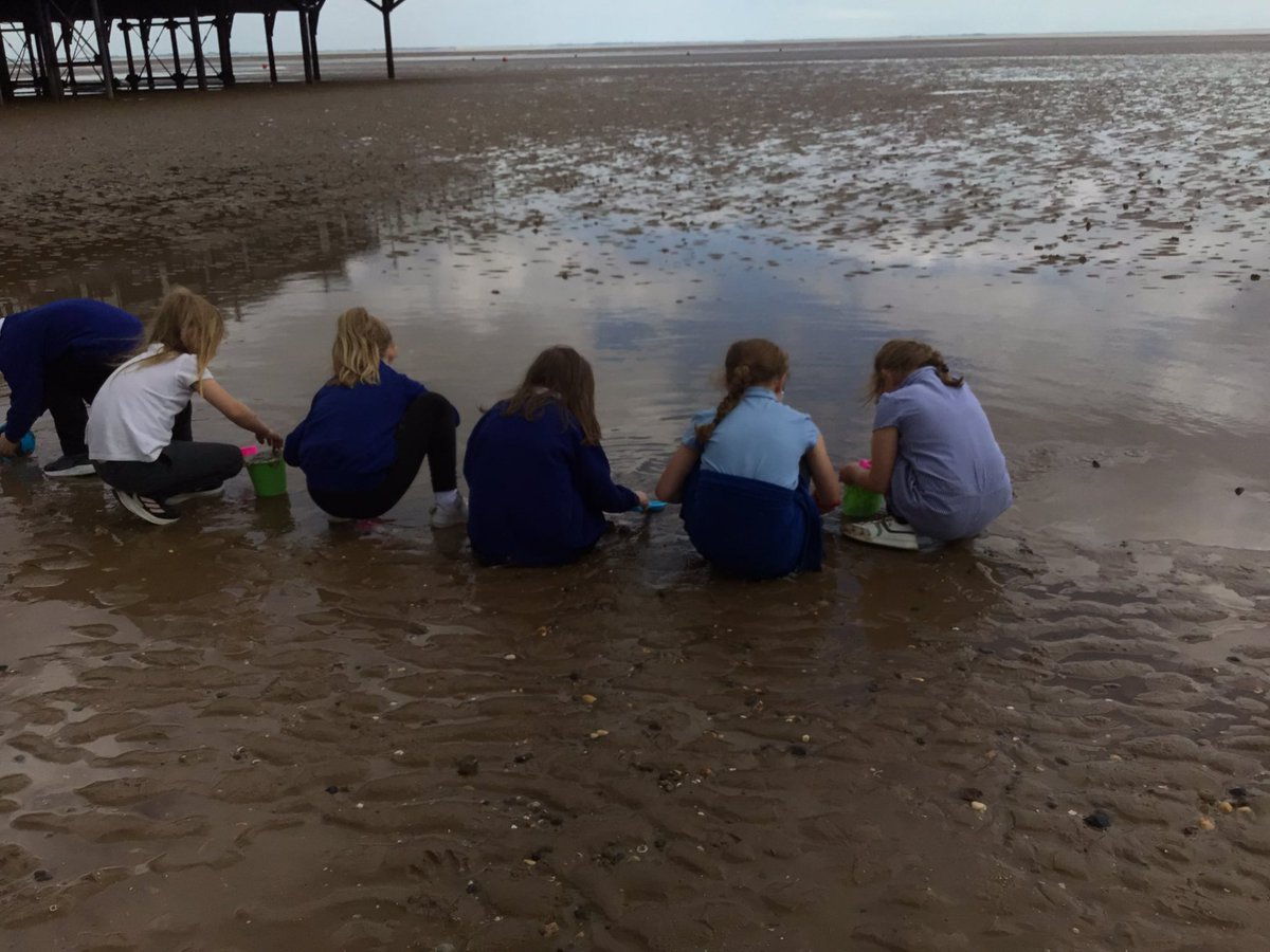 Mrs Flynn Year 2 (@weelsby_mrsf) on Twitter photo Year 2 enjoyed a visit to the seaside to experience a holiday like the Victorians would have done <a href="/DeltaWeelsby/">Weelsby Academy 🌈</a> Year 2 enjoyed a visit to the seaside to experience a holiday like the Victorians would have done <a href="/DeltaWeelsby/">Weelsby Academy 🌈</a>