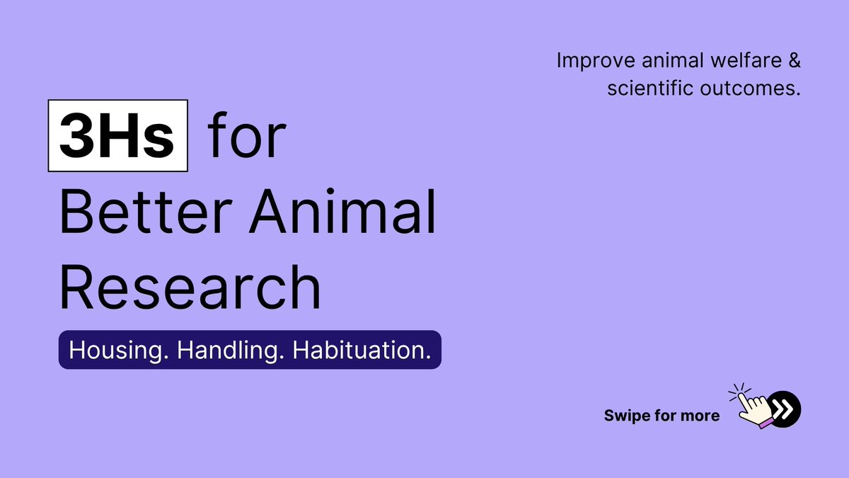 aRukon_es's tweet photo. ✨How researchers can apply the #3Hs to improve animal welfare and experimental validity?
🐁The 3Hs Initiative (𝐇𝐨𝐮𝐬𝐢𝐧𝐠, 𝐇𝐚𝐧𝐝𝐥𝐢𝐧𝐠, 𝐇𝐚𝐛𝐢𝐭𝐮𝐚𝐭𝐢𝐨𝐧) offers a practical framework to refine how we work with animals in the lab. 📊 https://t.co/2noyYCr46R