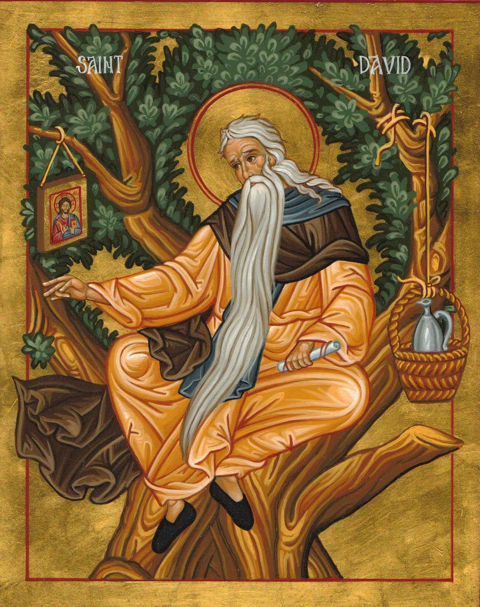 It is the Feast of David the Dendrite who got so weary of ceaseless chatter he went to live in an almond tree.