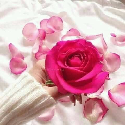 <a href="/7bi5_/">𝕚ℕᵃ𝐒♬</a> <a href="/1e_rc/">ركن هادئ 🔥٤٩٤</a> <a href="/p_2di/">٢٦٢🔥 ₐ𝓱𝑴ₐ𝚍 🇯🇴</a> <a href="/M_frgly1/">ⓜⓘⓓⓞ🇦🇹❤🇦🇹</a> <a href="/WX2fu/">مهندس ايمن عماره</a> <a href="/2Y_2i/">ابو فاس</a> @b0ba00 <a href="/Heba1948/">℘‌🦋⑅⃝ԊҽႦα🦋➠🕊🤍</a> <a href="/s2__3_/">🆂AA🅳</a> <a href="/HomouedK/">♔Homoued Khaled♔</a> <a href="/ahmedd2608/">ِِAhmed Abd Elaziz</a> <a href="/alsheref677m/">𓅀𓄿𓅔𓄂 mm2mm مسافر 🍂🍂</a> <a href="/salahjouda25/">صلاح جودة</a> <a href="/KhaldMhmd94797/">أبو خالد</a> <a href="/KhaledElbhairy2/">Khaled Elbhairy</a> <a href="/salah_Ebrahim1/">بتاع الجاز</a> <a href="/AhmadTVShow1/">Ahmad TV Show !</a> <a href="/mohamedskandar7/">♕﷼♡𝑬𝑺𝑲𝑨𝑵𝑫𝑨𝑹♡</a> <a href="/aldmyny797641/">🇾🇪خــ❥⁠❥⁠ــالـــ❥⁠❥⁠ـد🇸🇦</a> <a href="/N_IraQ50/">نور العراق</a>