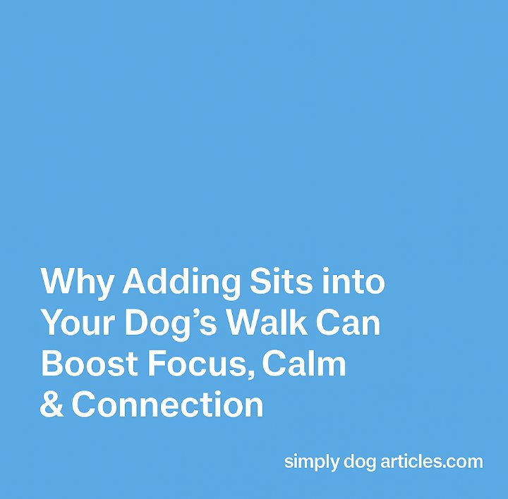 SimplyDogBhvr's tweet image. Struggling with pulling or chaos on walks? 🐕

Add calm with one simple cue: sit.
Learn how this tiny shift can change everything👇
🔗 simplydogarticles.com/why-adding-sit…

#DogTraining #CalmDogs #LooseLead #SimplyDogArticles