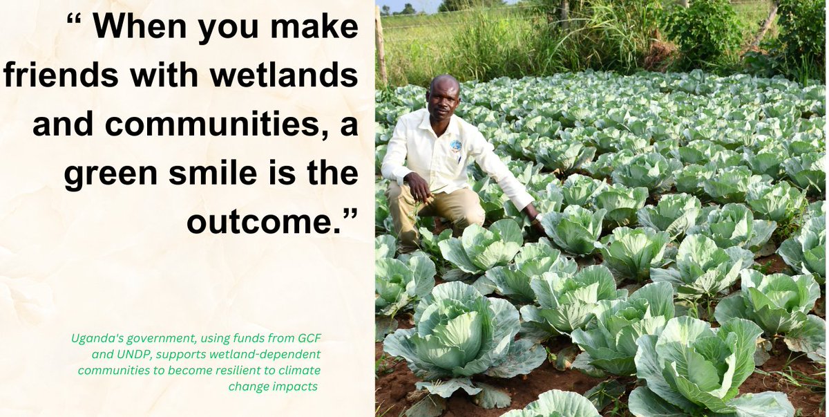 CfprojectG's tweet image. There are more benefits to making friends with wetlands. Together, let's work for a healthy co-existence. @NwanneObahor @okidi64 @UNDPUganda @UNDPClimate @min_waterUg @nemaug @MalingaMalingaj @MAAIF_Uganda @OPMUganda @KagutaMuseveni
