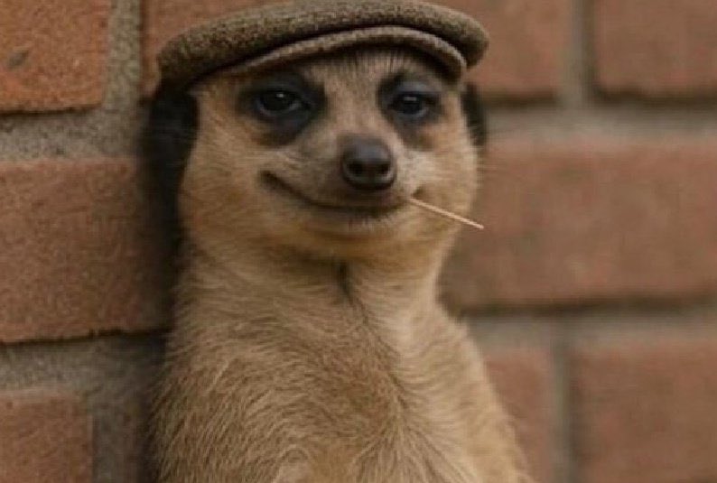 POV:Me scrolling timeline like a content king,
Even though exam is in less than 2 hours.
Confidence high I think I’ve read everything.

Meanwhile, my lecturer dey look me for exam hall like:
“Okay… let’s see who owns the syllabus now 🙂↔️🙂”

Real life loading. 😭📚